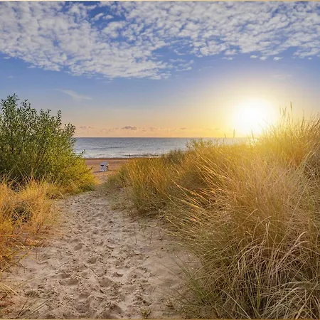 Seeland Seeland App 5 *