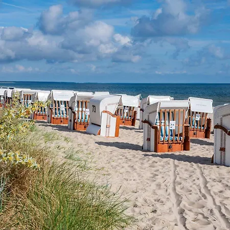 Seeland Seeland App 5 *